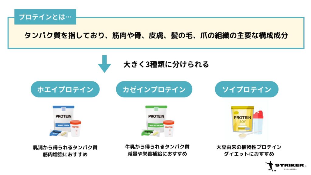 プロテインの種類